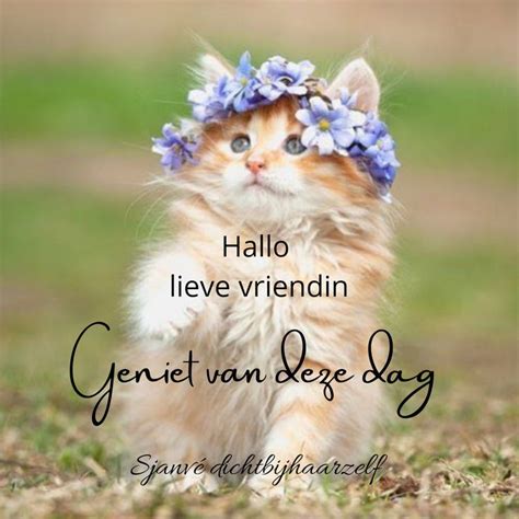 lieve vriendin|Goedemorgen Lieverd: 100+ Lieve Goedemorgen。